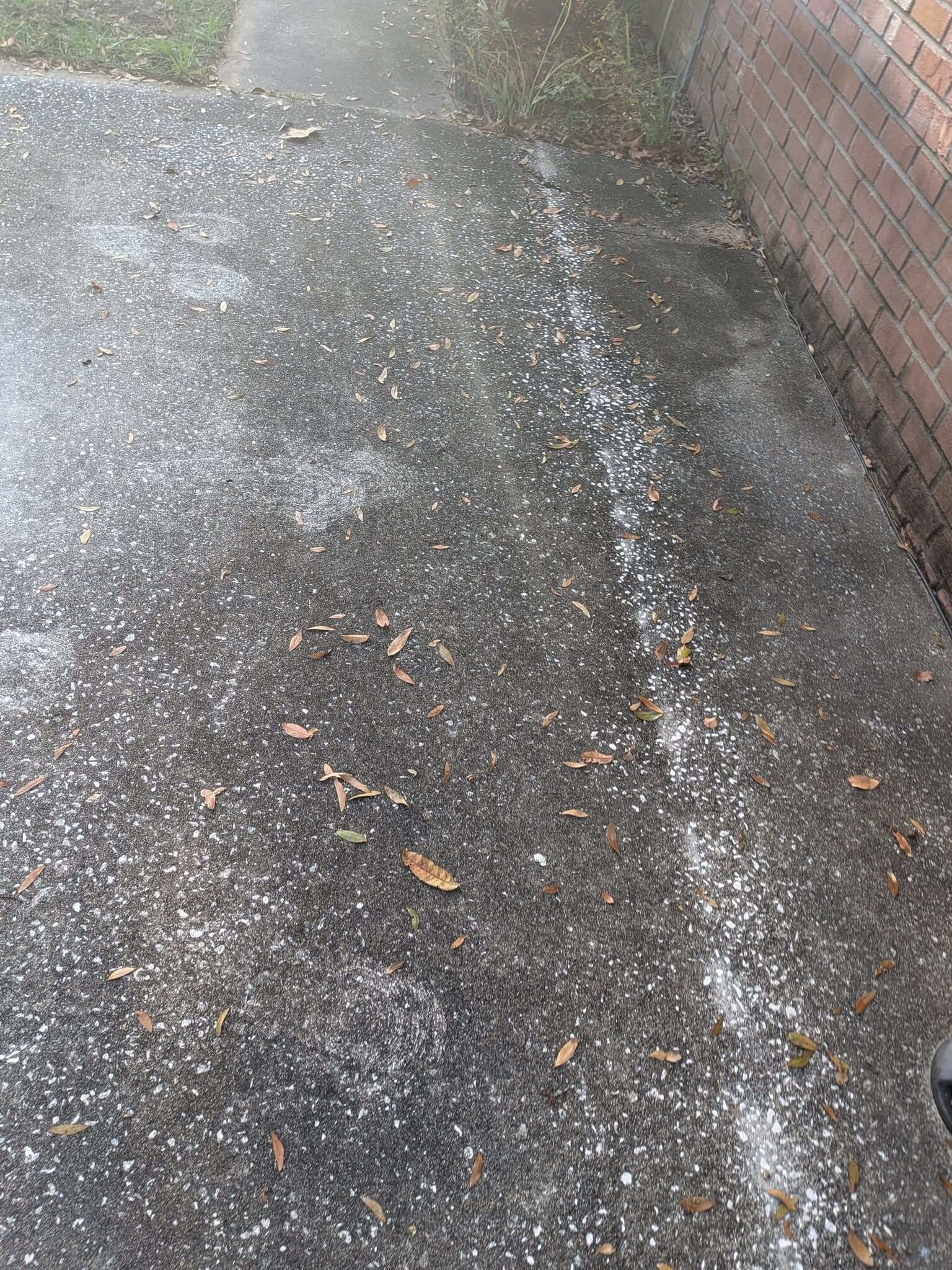 Driveway before power washing