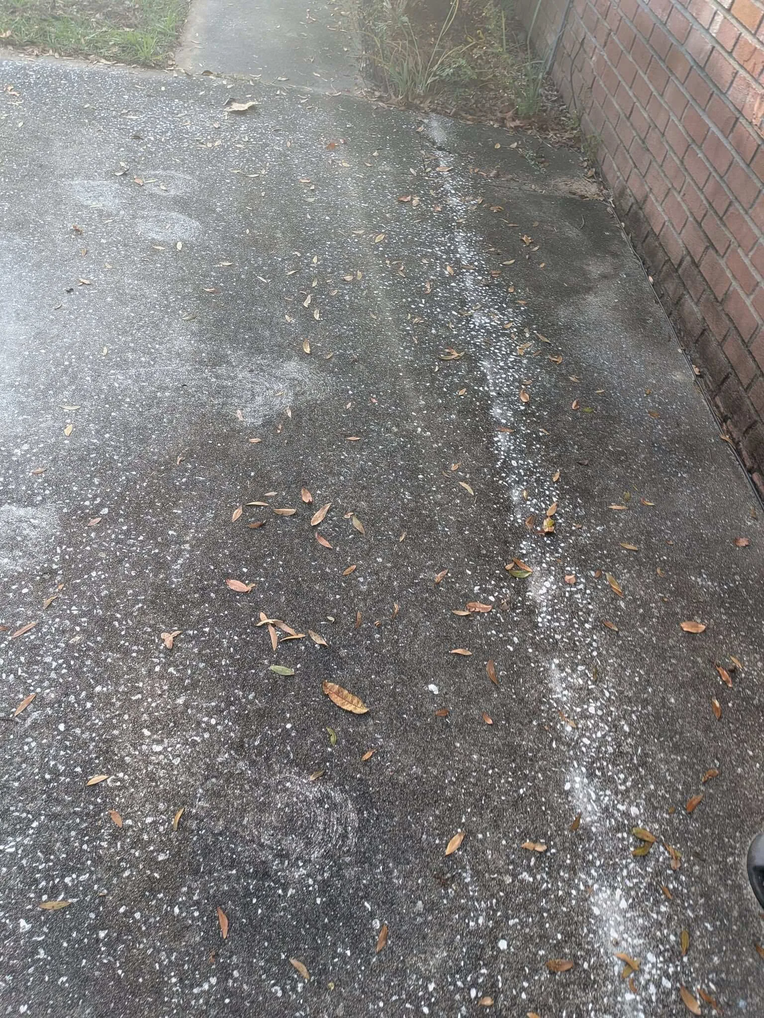 Driveway before washing