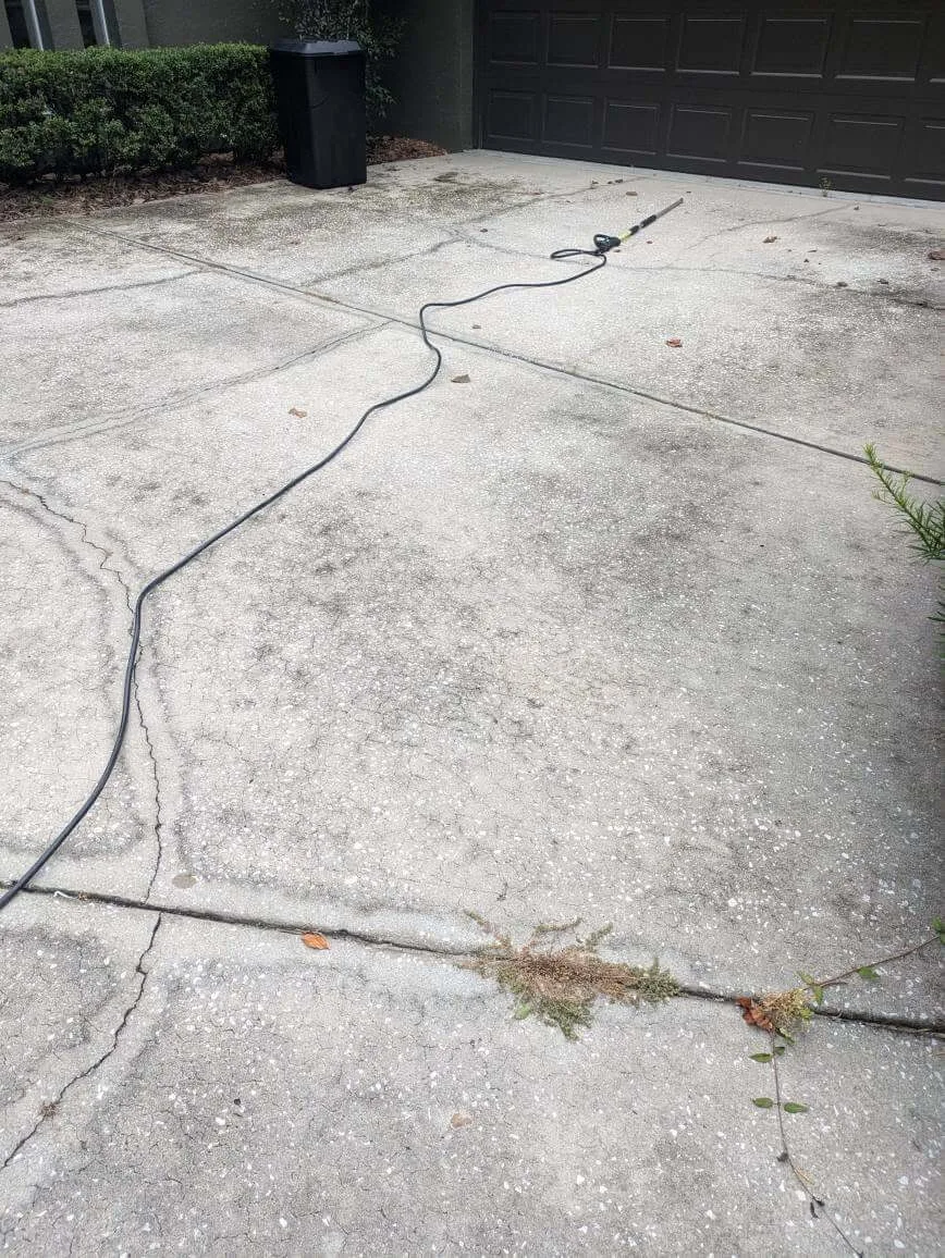 Driveway before washing