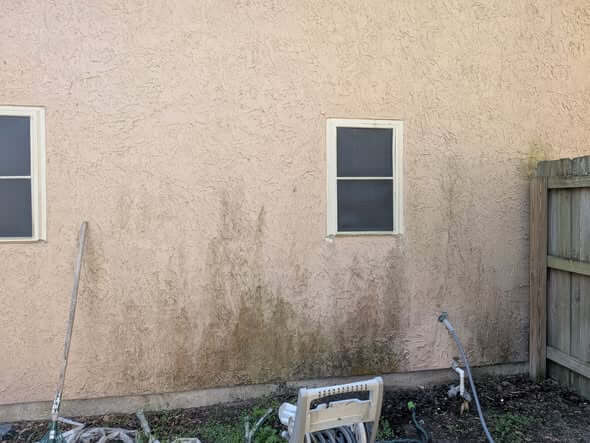 House side before power washing